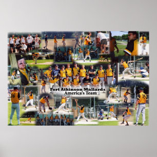 Affiche de collage de canards