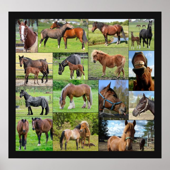 Affiche de collage du Cheval Lover (Devant)