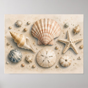 Affiche de collection de coquillages Aquarelle c