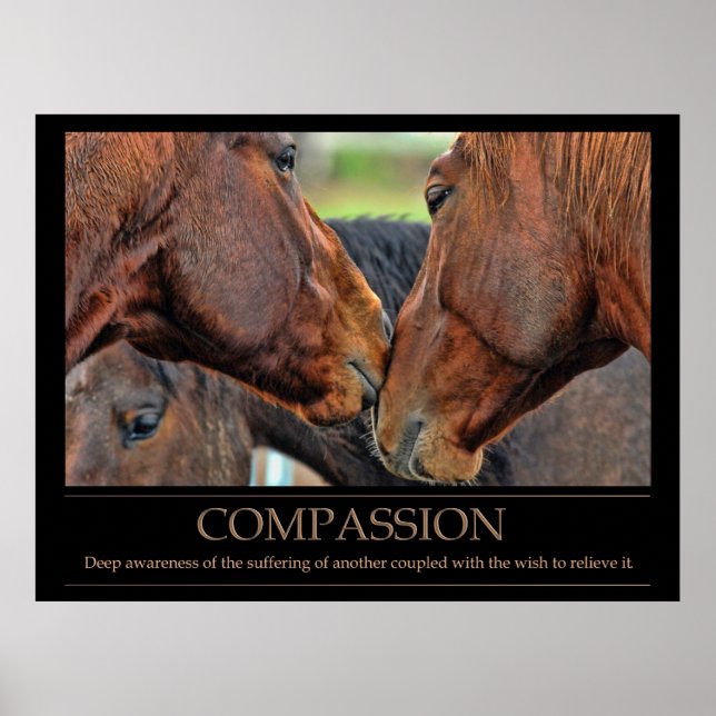 Affiche de compassion (Devant)