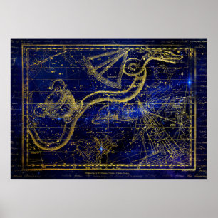 affiche de constellation de chat et de serpent