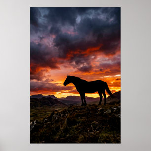 Affiche de coucher de soleil avec silhouette de ch