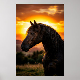 Affiche de coucher de soleil de cheval noir majest