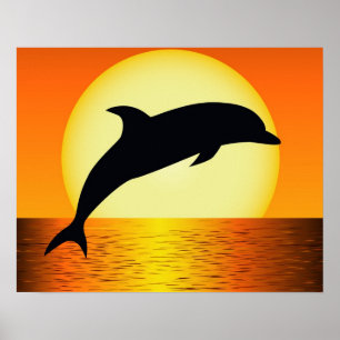 Affiche de coucher du soleil de dauphin