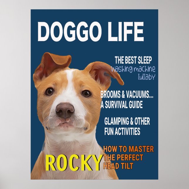 Affiche de couverture du magazine Pitbull Parody (Devant)