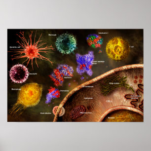 Affiche de cytokines