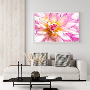 Affiche de Dahlia rose et blanc