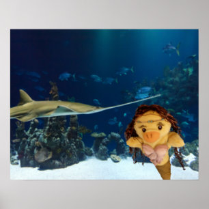 Affiche de Danni la Sirène