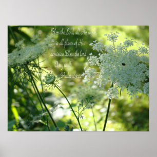 Affiche de dentelle de la Reine Anne