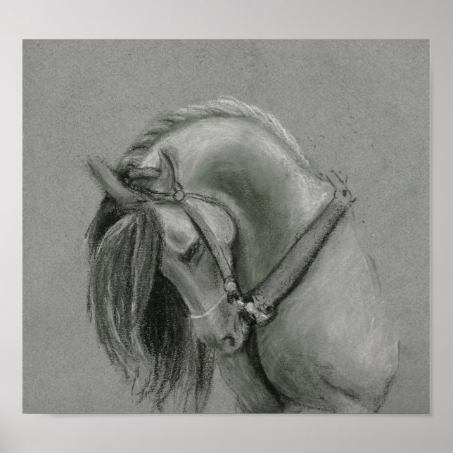 Affiche de dessin du cheval espagnol (Devant)