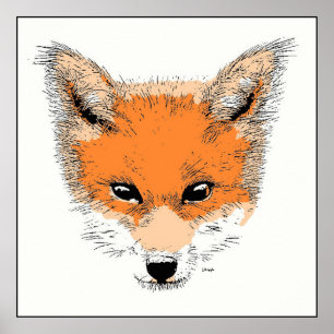 Affiche de dessin Fox