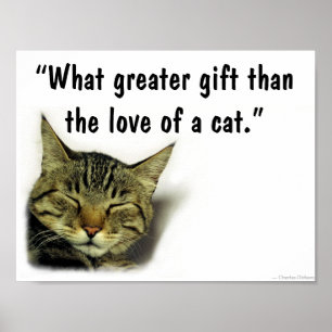 Affiche de devis de chat