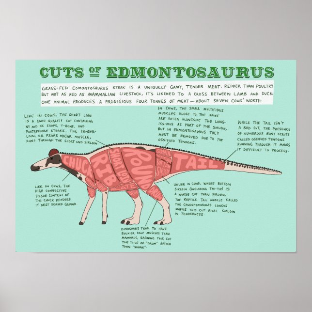 Affiche de dinosaure - Edmontosaurus (Devant)