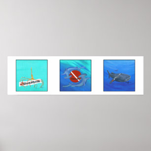 affiche de DiveBuddy.com