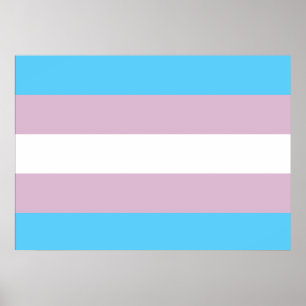 Affiche de drapeau de fierté de transsexuel