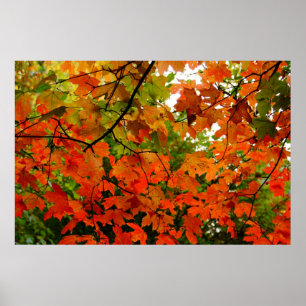 Affiche de feuille d'automne