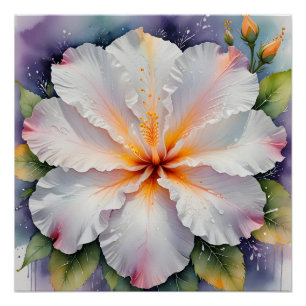 affiche de fleur d'hibiscus blanc