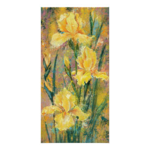 Affiche de fleurs d'iris jaune
