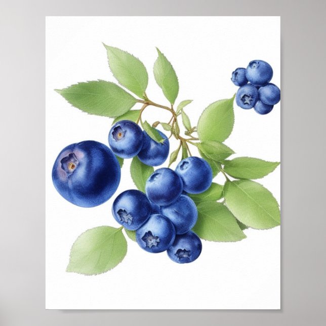 Affiche de fruits Wall Art (Devant)