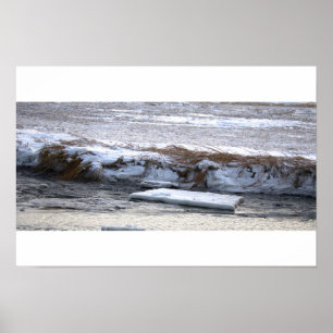 Affiche de glace flottant sur l'eau