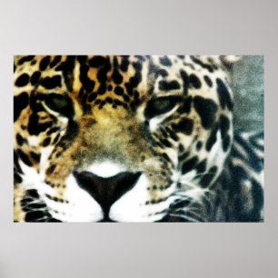 Affiche de Jaguar