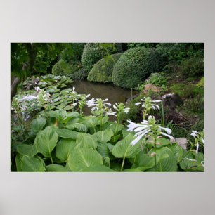Affiche de jardin de zen avec les frontières
