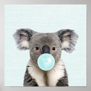 Affiche de koala soufflant un bubble gum bleu