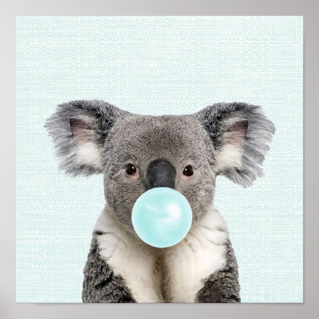 Affiche de koala soufflant un bubble gum bleu (Devant)