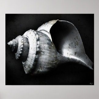 Affiche de la baleine de Channel