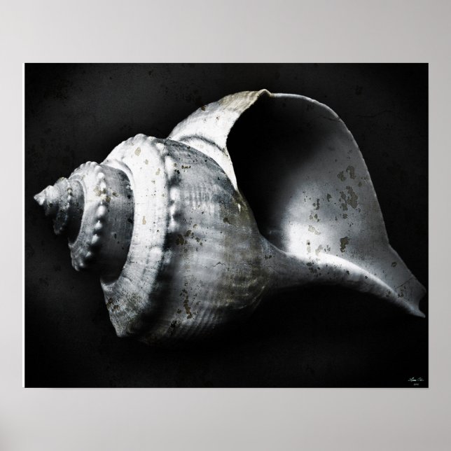 Affiche de la baleine de Channel (Devant)