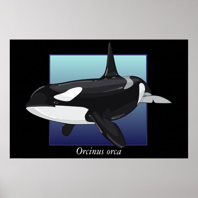 Affiche de la baleine tueuse (Devant)