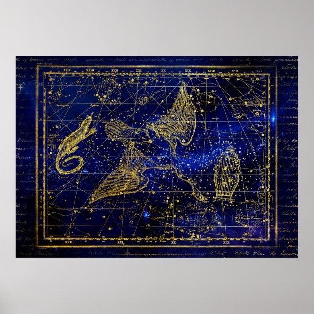affiche de la constellation de lézard et de cygne (Devant)