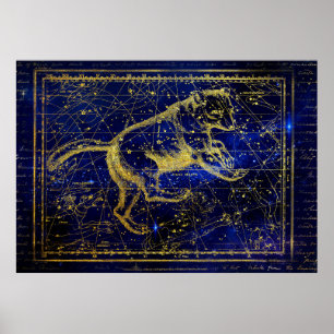 affiche de la constellation majeure ursa