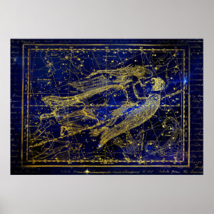 affiche de la constellation vierge