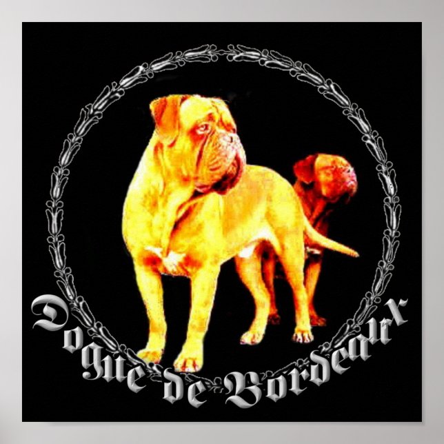 Affiche de la Dogue de Bordeaux (Devant)