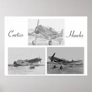 Affiche de la famille Curtiss Hawk