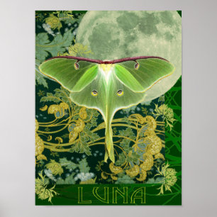Affiche de la lune et du papillon Luna, collage de