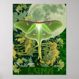 Affiche de la lune et du papillon Luna, collage de