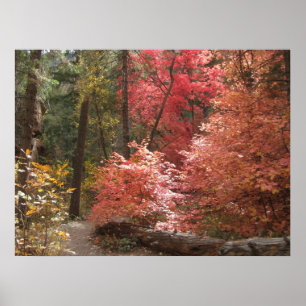 Affiche de la Majesté d'automne (3)