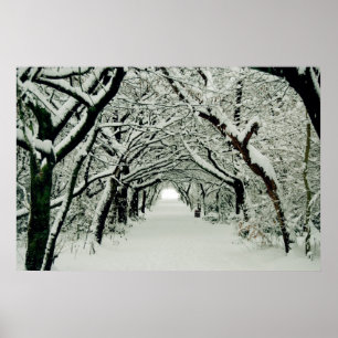 Affiche de la marche d'hiver