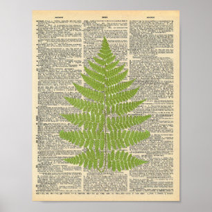Affiche de la page du dictionnaire vintage Forest