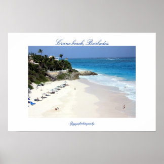 Affiche de la plage de grue