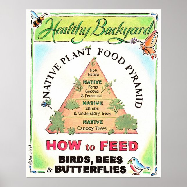 Affiche de la pyramide des Plantes autochtones (Devant)