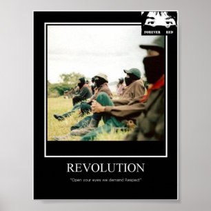 Affiche de la révolution