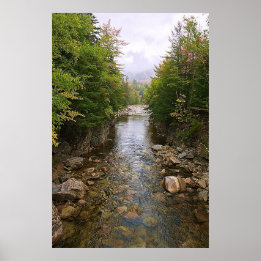 Affiche de la rivière à travers la forêt naturelle
