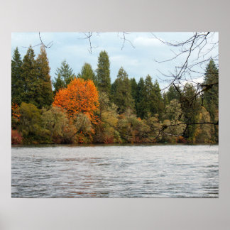 Affiche de la rivière tranquille