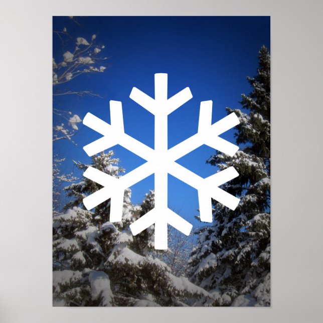 Affiche de la scène de neige (Devant)