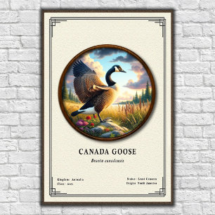 Affiche de la série de zoologie de la bernache du 