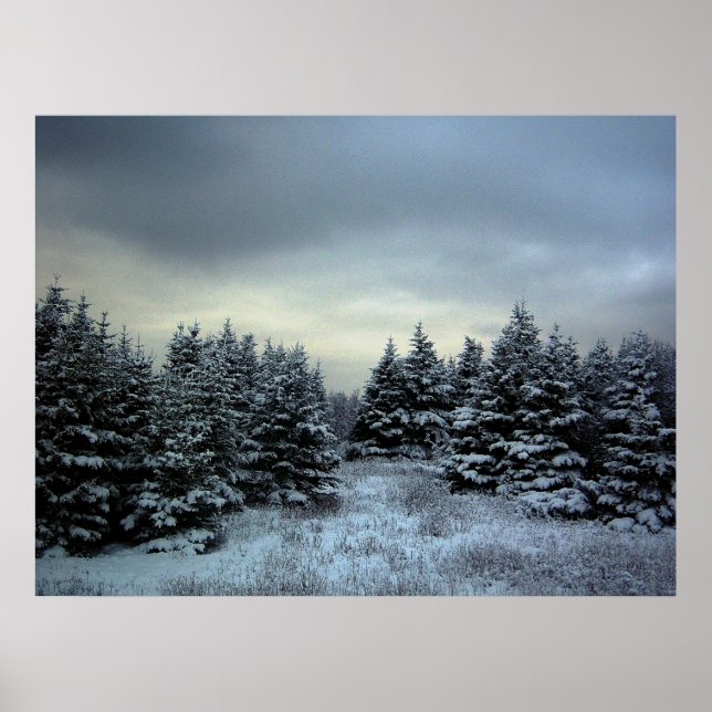 Affiche de la tempête d'hiver (Devant)