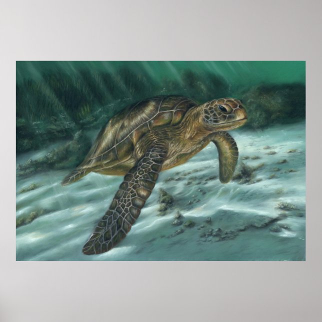 Affiche de la tortue de mer (Devant)